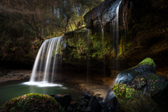 森のオアシスⅢ