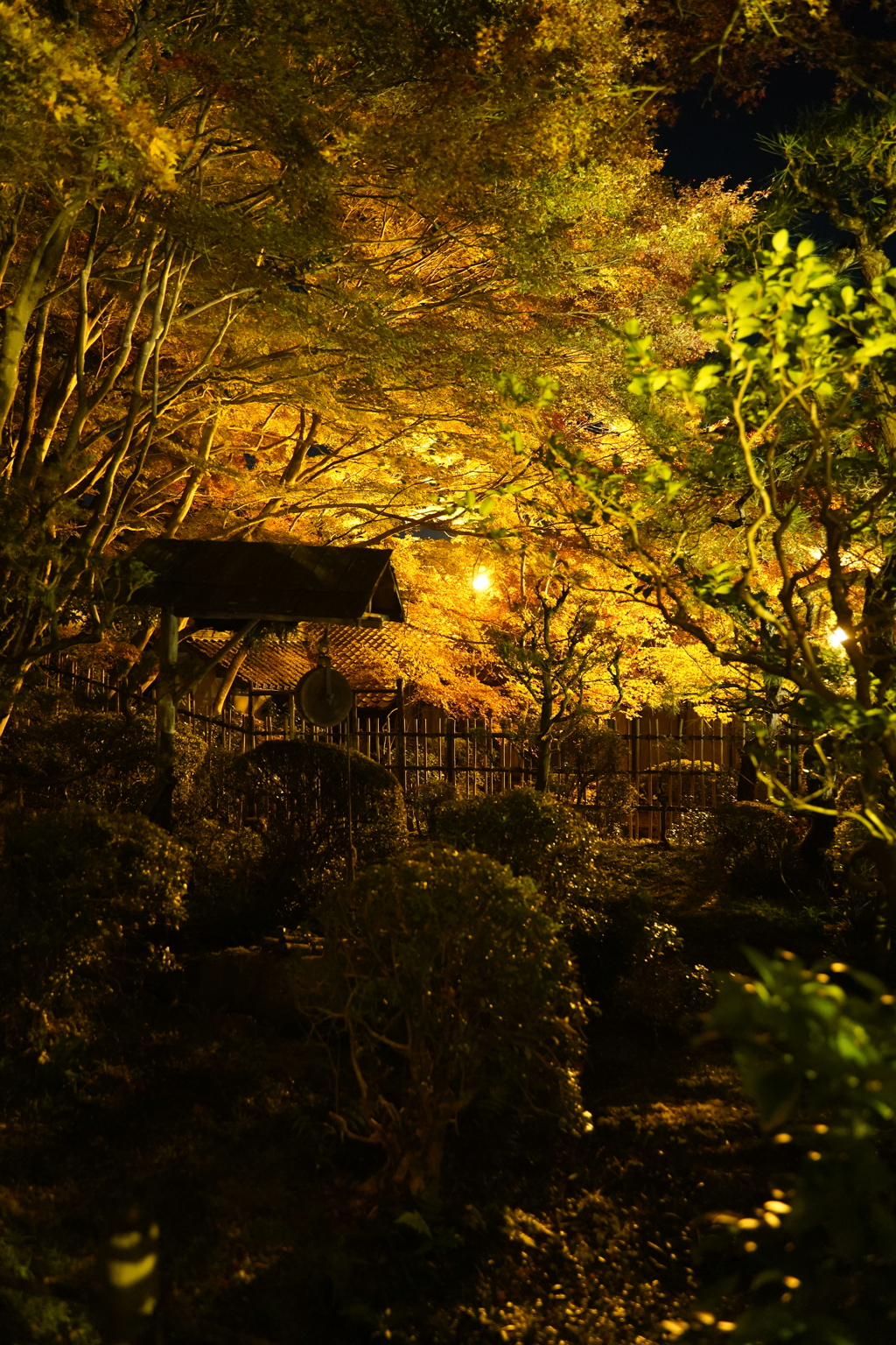 夜の庭園