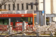 さくらと市内電車