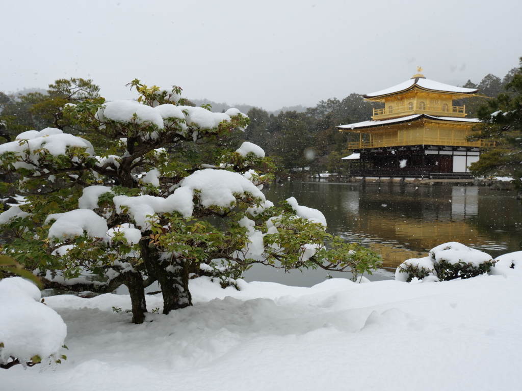 雪の金閣寺（少し引いてみて）