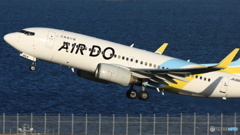 AIR DO