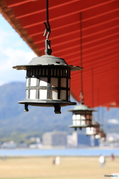 厳島神社にて