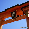 厳島神社大鳥居