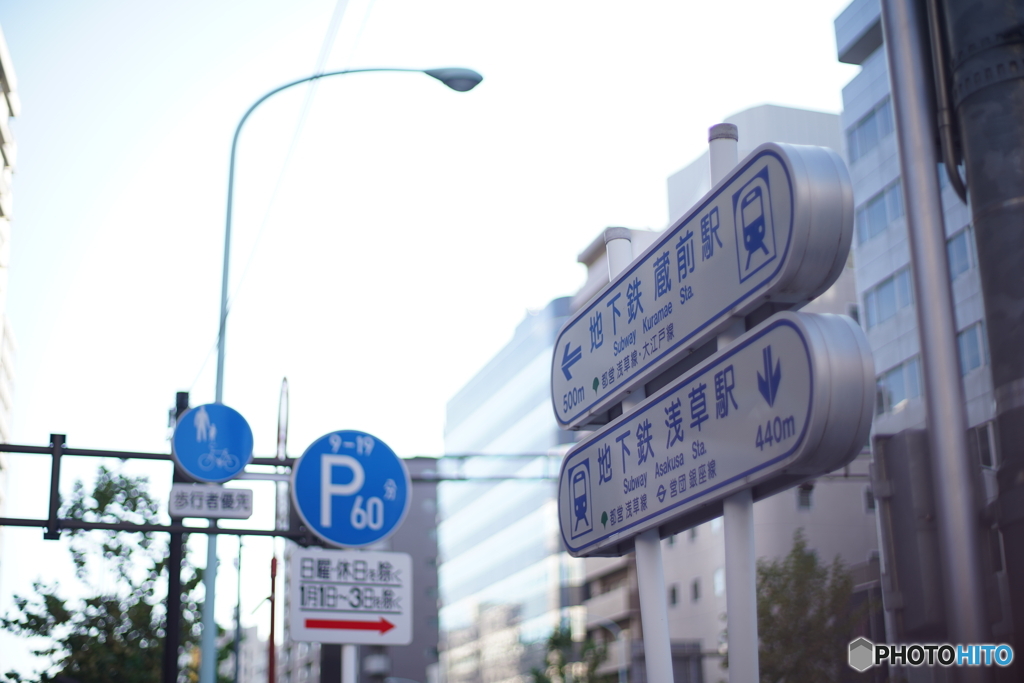 お散歩