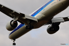 777-300ER（全日空）