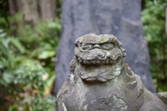 小石川後楽園