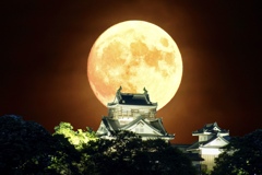 月夜の越前大野城