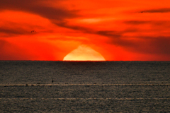 沈みゆくタマネギ