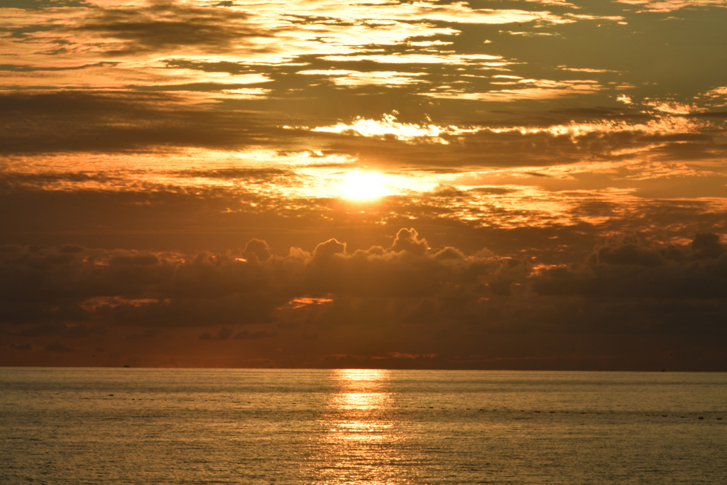 黄金色の夕陽