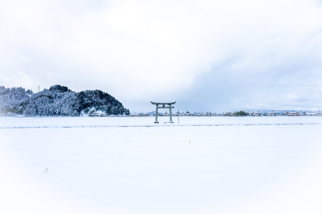 雪一面に鳥居