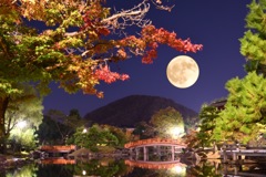 月満ちて モミジ照らされ 秋本番
