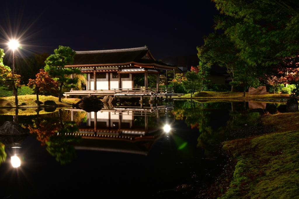 夜の紫式部公園②