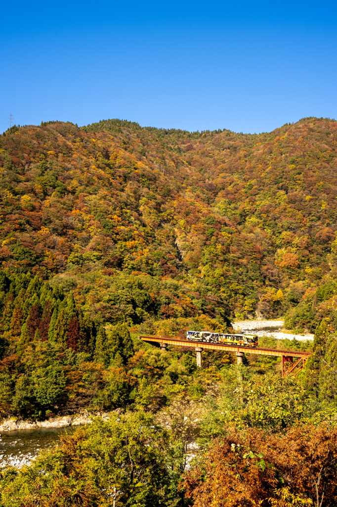 ローカル線と紅葉