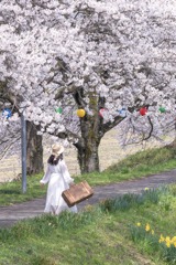 桜並木の遊歩道で