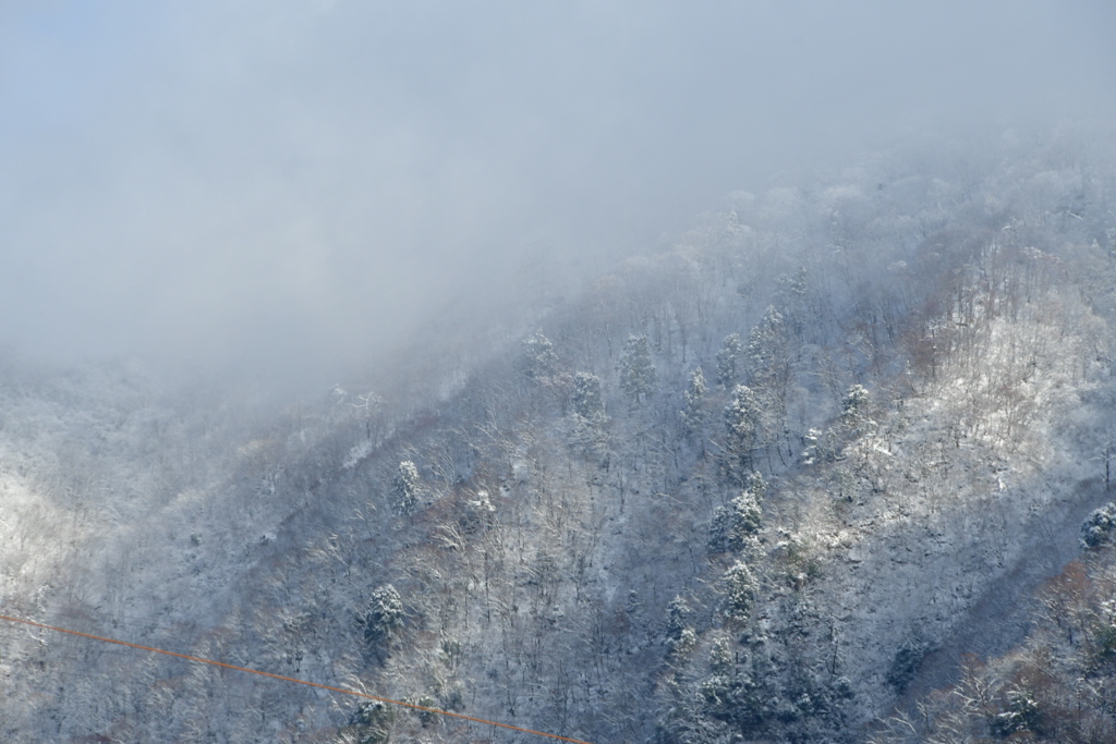 越前富士の初冠雪