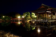 夜の紫式部公園