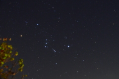 冬の巨人オリオン座