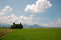 夏空と猫島