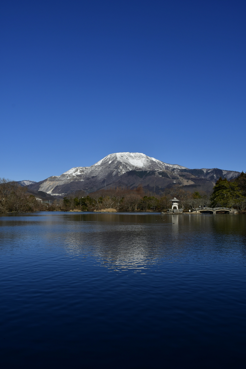 三島池からの伊吹山