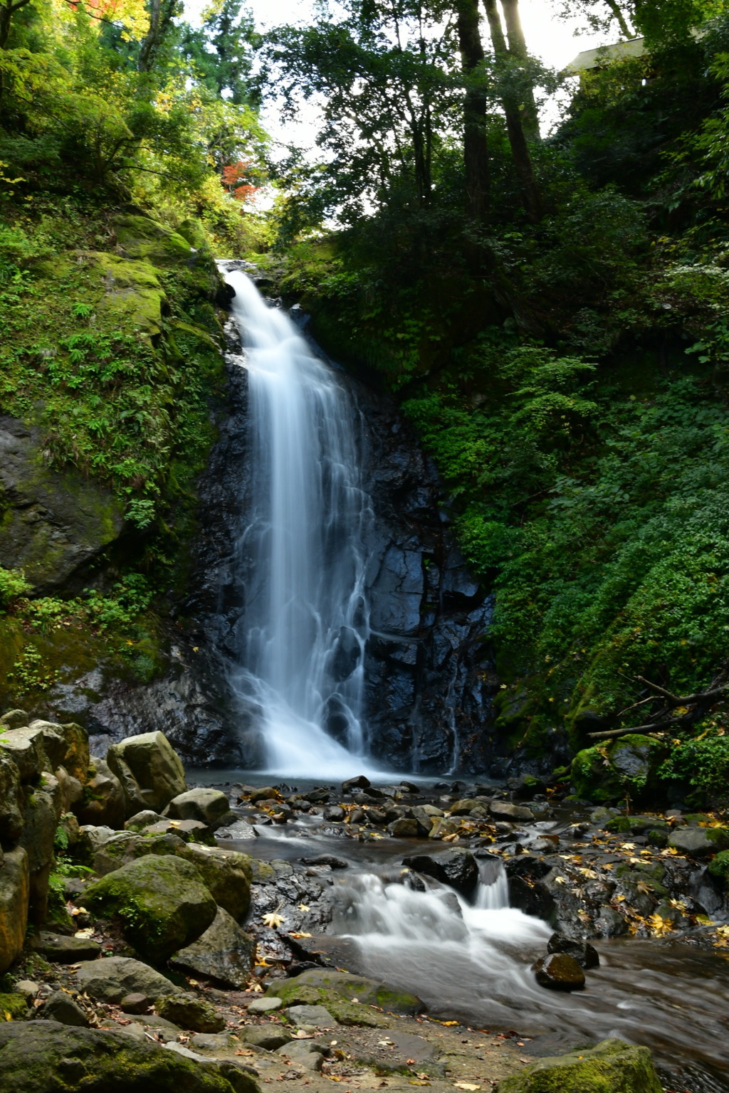 小次郎が 秋を切り裂く 一本滝