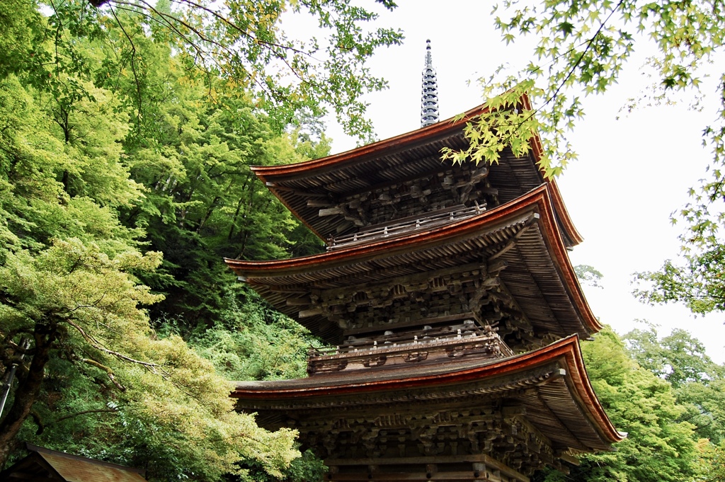 舞鶴の金剛院三重塔