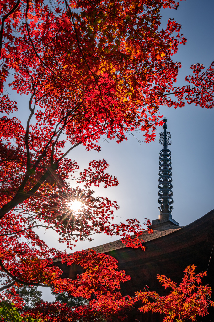 金剛輪寺