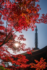 金剛輪寺