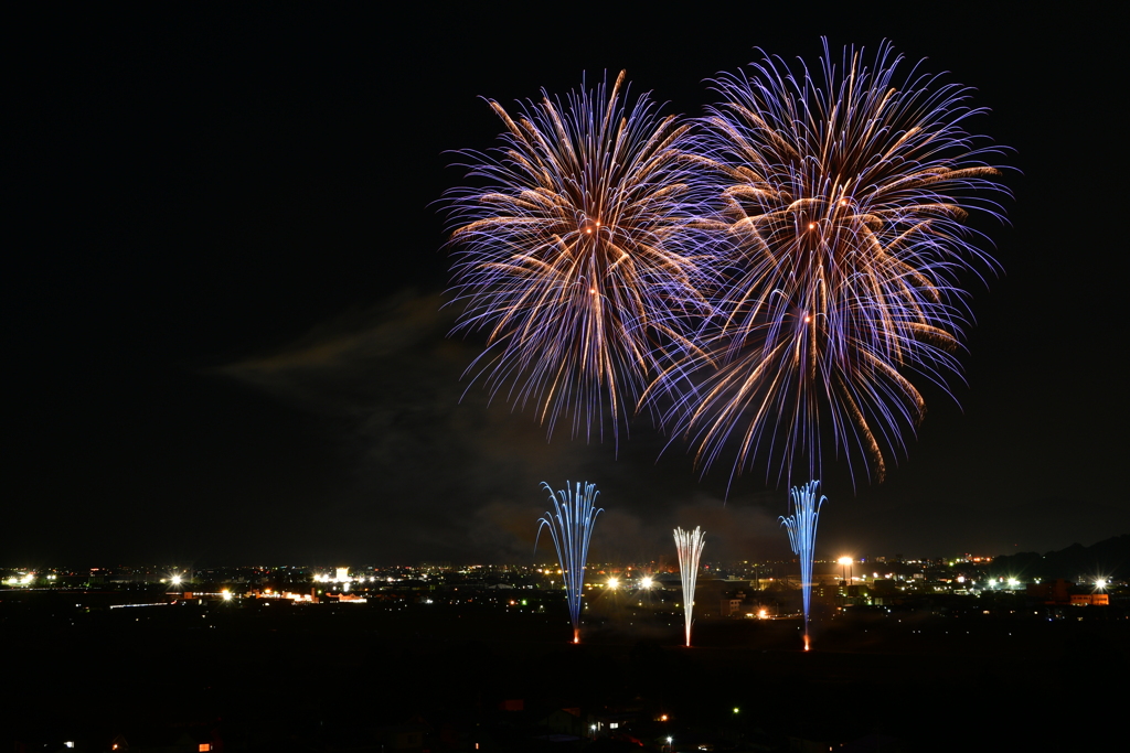 秋の夜の大輪の花