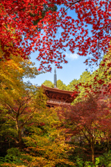 湖東三山金剛輪寺