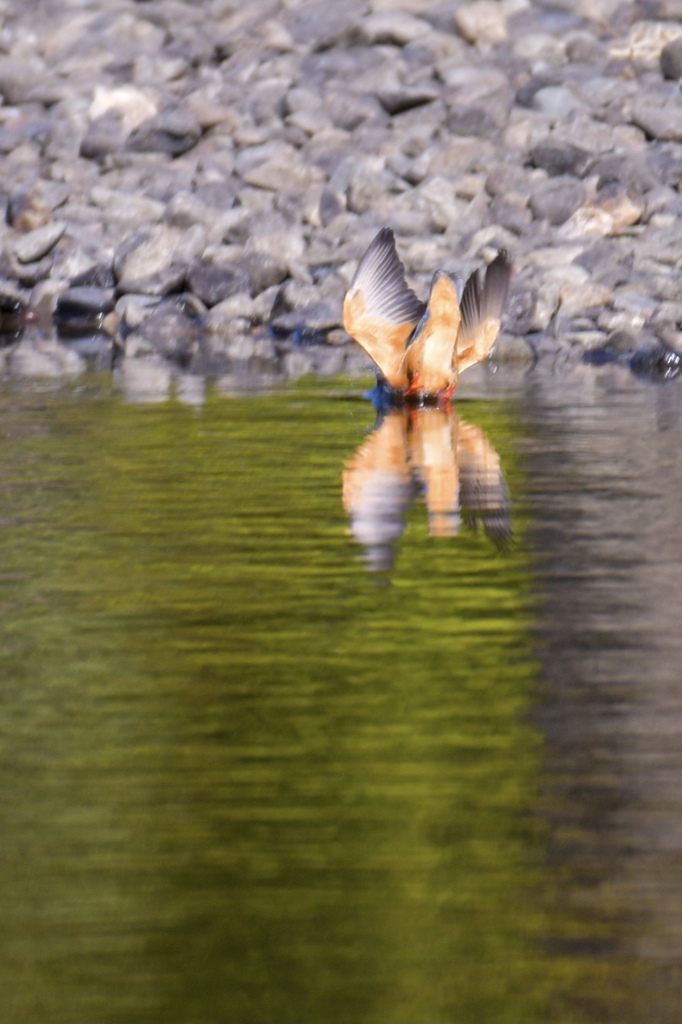 頭隠して尻隠さず