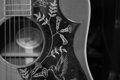 ハミングバード