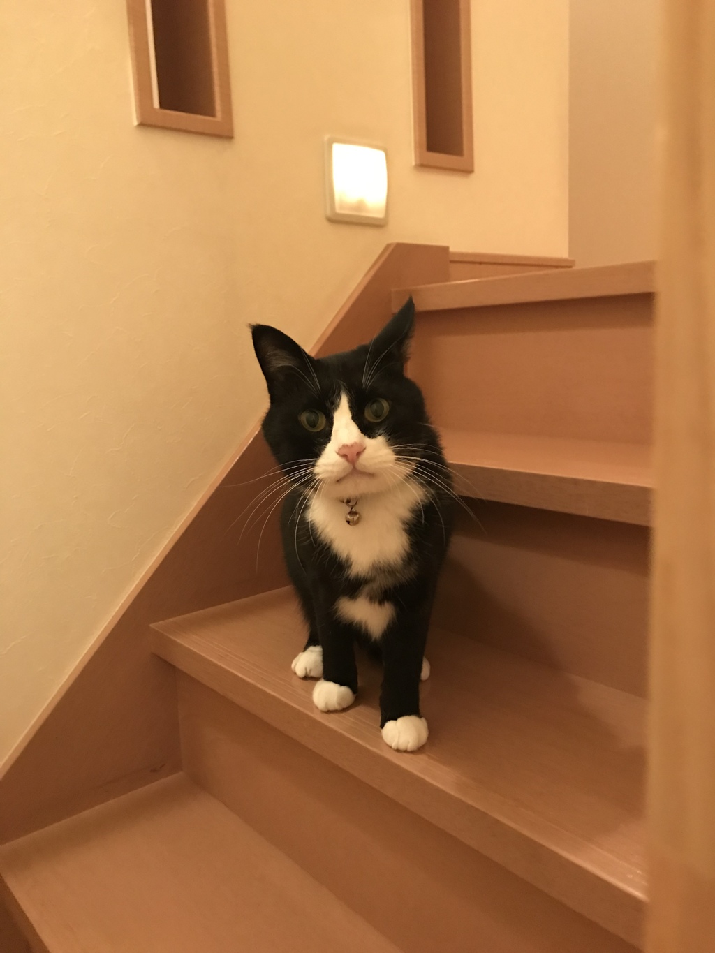 早く寝ようよ〜