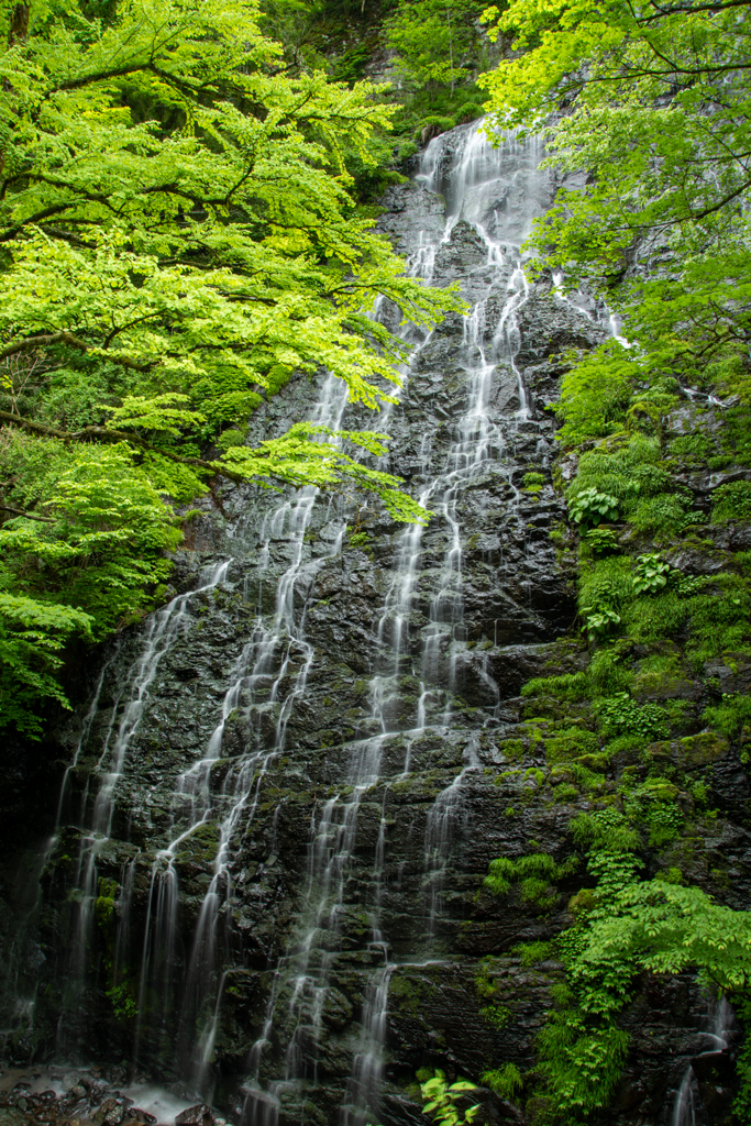 今日の日本の滝百選の龍双ヶ滝