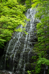 今日の日本の滝百選の龍双ヶ滝