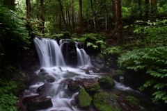 涼を求めて………