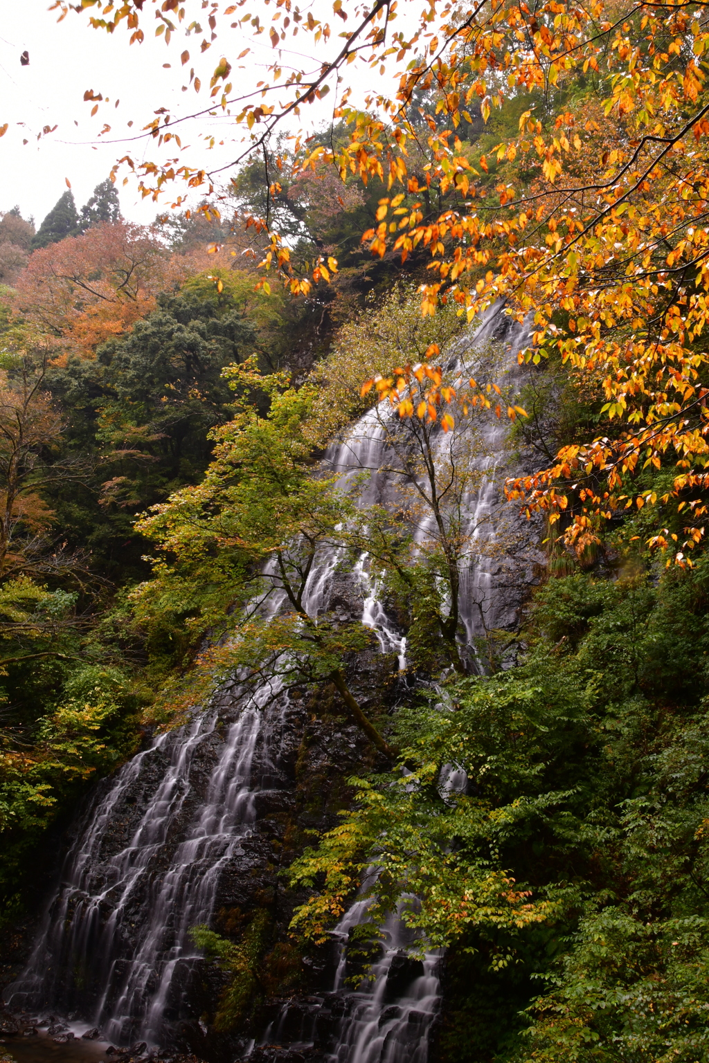 秋色の 山肌流れる 滝の糸