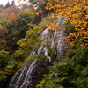 秋色の 山肌流れる 滝の糸