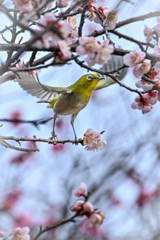 次行ってみよう