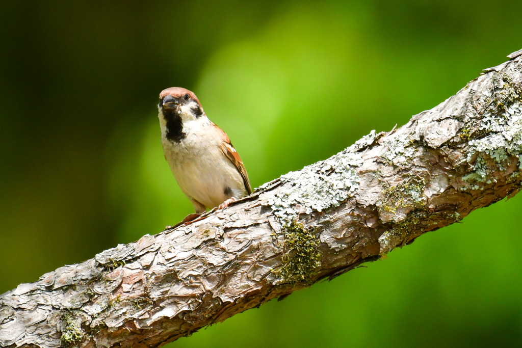 さて…次はどこへ