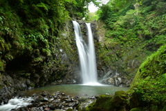 涼を求めて……