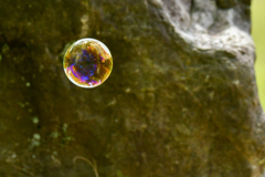 地上に浮かぶ星