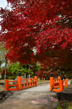 散歩道