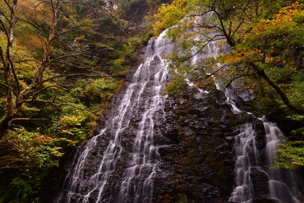 山深く 秋色染まる 滝の糸