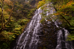 山深く 秋色染まる 滝の糸