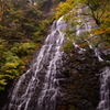 山深く 秋色染まる 滝の糸