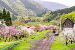 花桃の咲く駅