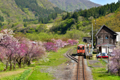 花桃とローカル線
