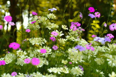 花