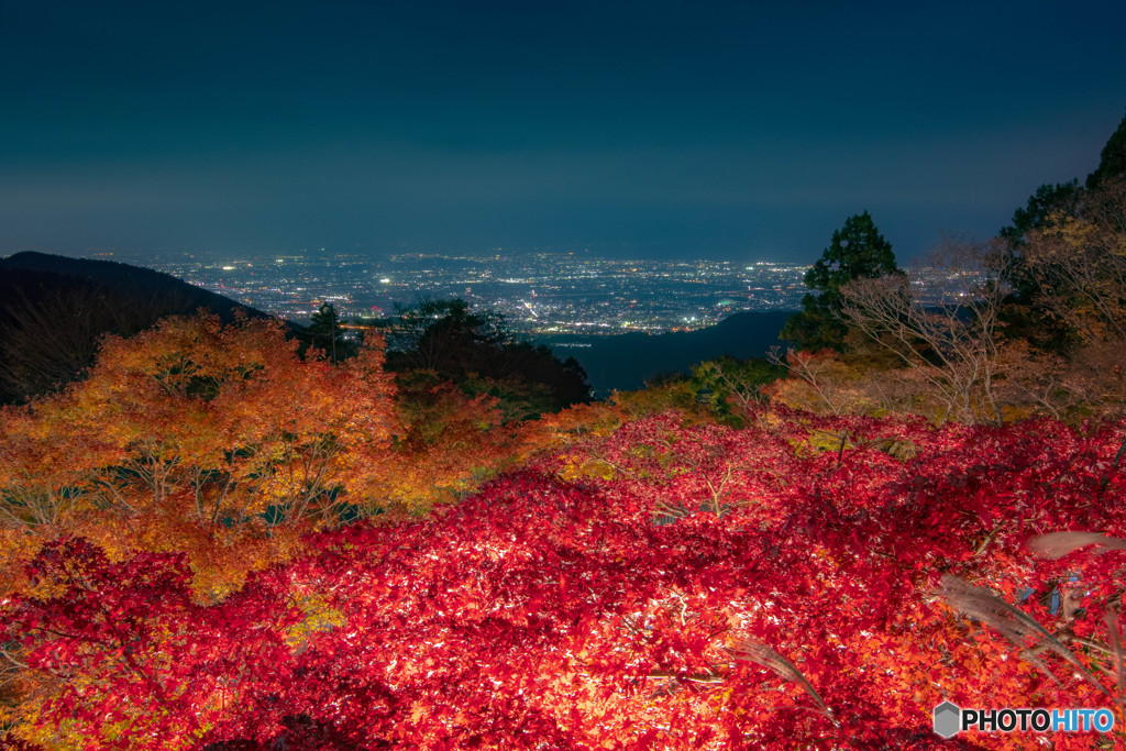 大山 紅葉祭り ライトアップ 2