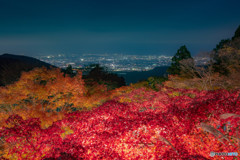 大山 紅葉祭り ライトアップ 2